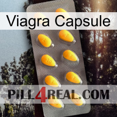 Viagra Capsule cialis1